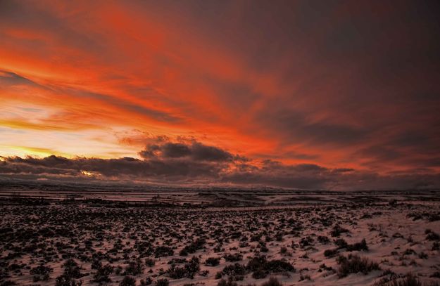 Sagebrush Alpenglow. Photo by Dave Bell.