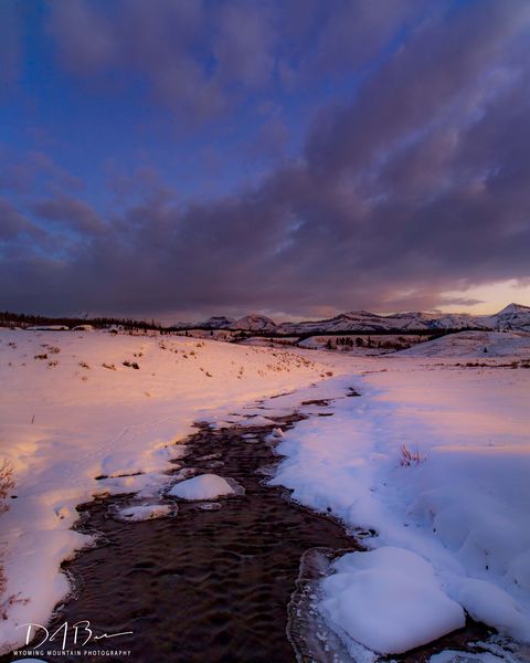 Dell Creek Wonder. Photo by Dave Bell.