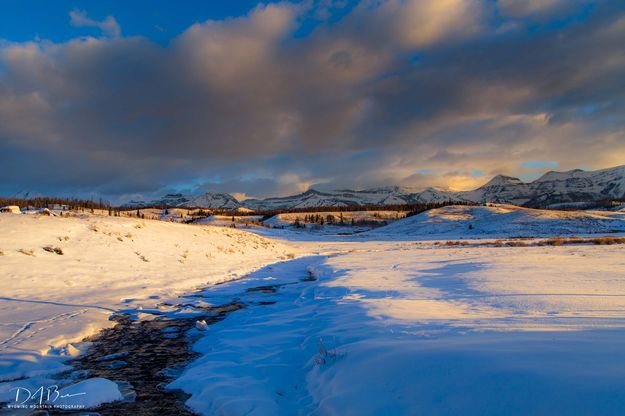 Morning Light On Dell Creek. Photo by Dave Bell.