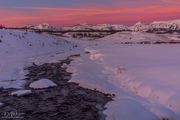 Dell Creek And Gros Ventre Pink. Photo by Dave Bell.