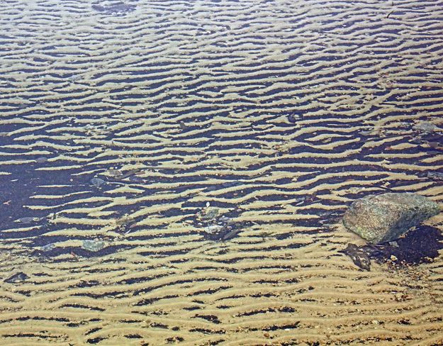 Sandy Patterns. Photo by Dave Bell.