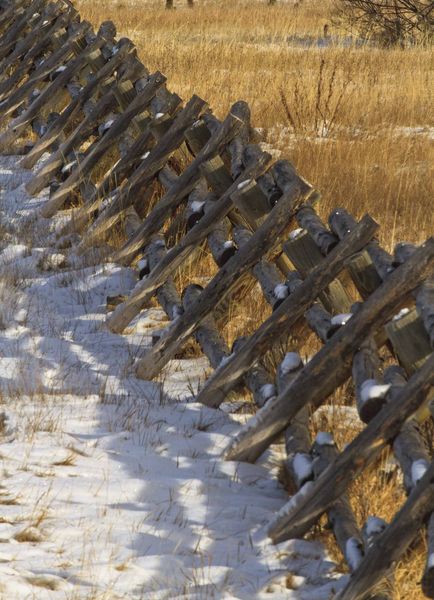 The Unrelenting March Of The Buckrails. Photo by Dave Bell.