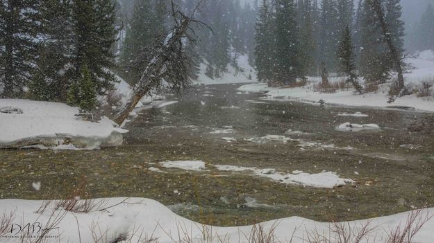 Snowy Scene At The Confluence of The Hoback River and Granite Creek. Photo by Dave Bell.