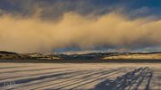 Long Shadows Of Winter. Photo by Dave Bell.