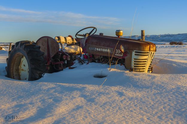 The Old Tractor. Photo by Dave Bell.