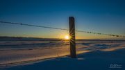 Sturdy Fenceline. Photo by Dave Bell.