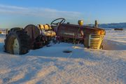 The Old Tractor. Photo by Dave Bell.