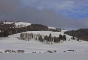 Deep Snow. Photo by Dave Bell.