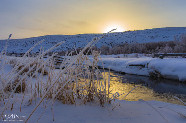 Morning Frost. Photo by Dave Bell.