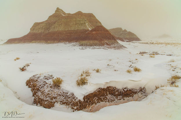 Foggy Buttes. Photo by Dave Bell.