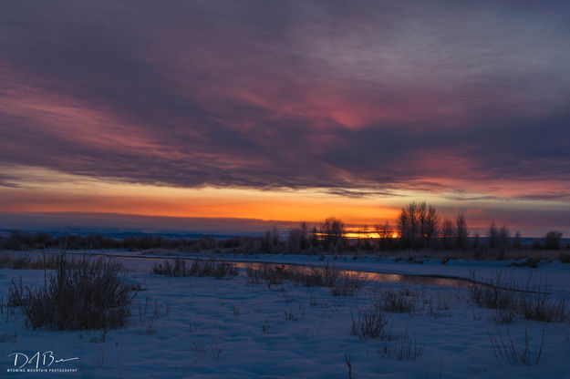 Winter Morning On The Green. Photo by Dave Bell.