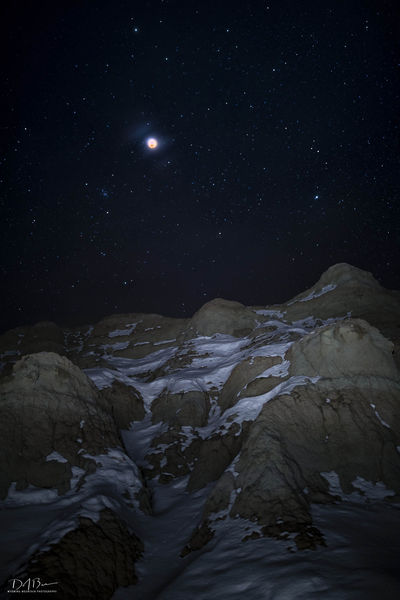 Red And White. Photo by Dave Bell.