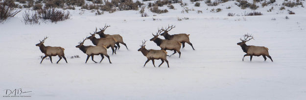 Symmetry. Photo by Dave Bell.