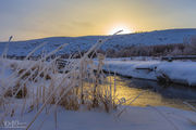 Morning Frost. Photo by Dave Bell.