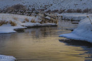 Peaceful Forty Rod Creek. Photo by Dave Bell.