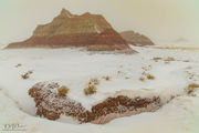 Foggy Buttes. Photo by Dave Bell.