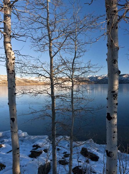 Fragile Icy Cover. Photo by Dave Bell.