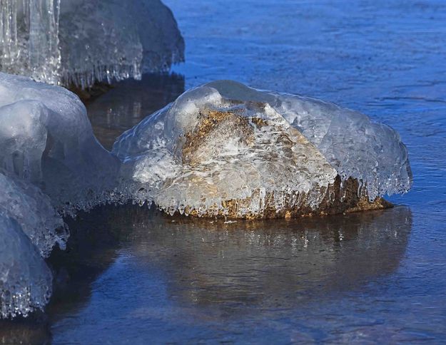 Stone Cold. Photo by Dave Bell.