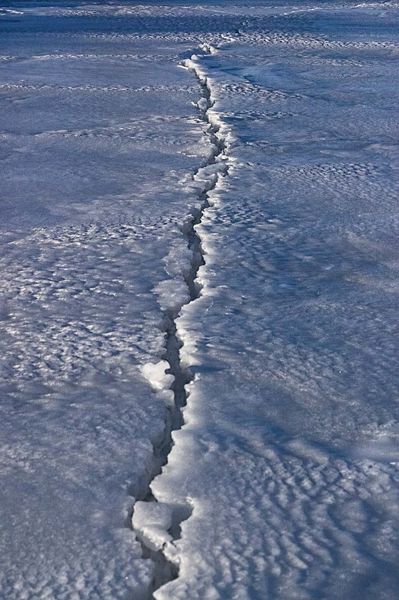 San Fremontandreas Fault. Photo by Dave Bell.