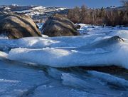 Frozen Icy Shores. Photo by Dave Bell.