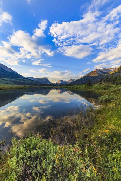 The Long View. Photo by Dave Bell.