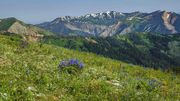 Hoback Peak. Photo by Dave Bell.