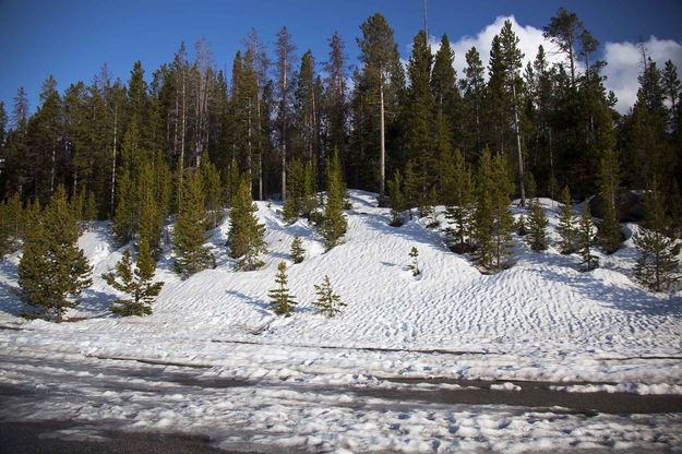 Snowy Slope At Upper Overlook-June 12, 2010. Photo by Dave Bell.