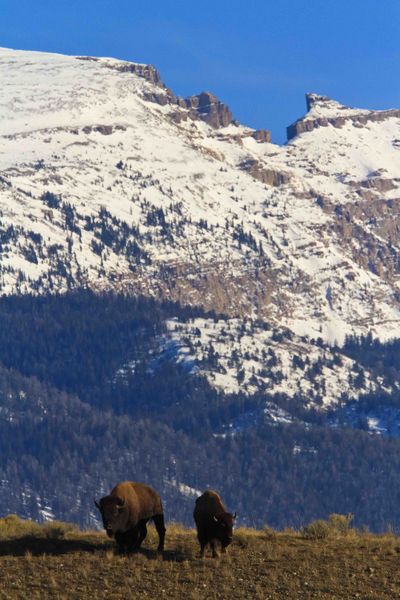 Sleeping Indian Backdrop. Photo by Dave Bell.