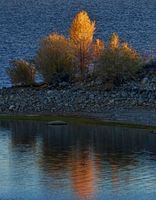 Cottonwood Pointe. Photo by Dave Bell.