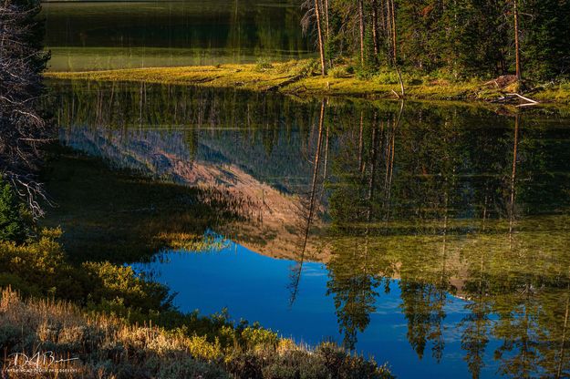 Reflection. Photo by Dave Bell.