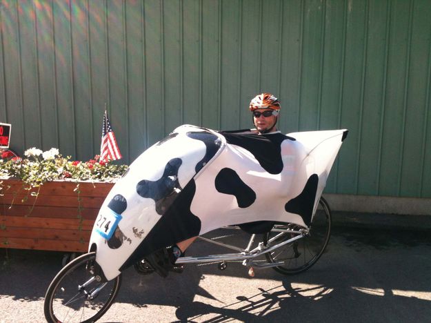 Takes All Kinds--Moo@. Photo by Dave Bell.