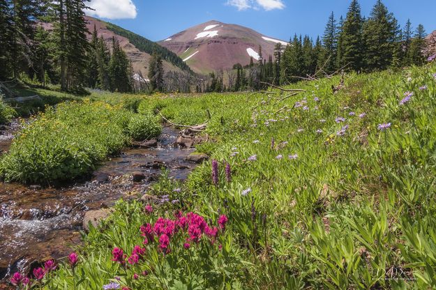 Straight Creek Basin Paintbrush and Wyoming Peak. Photo by Dave Bell.