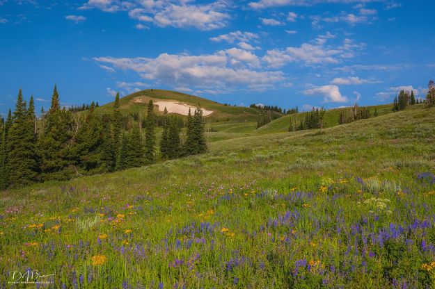 Beautiful Lookout Mountain. Photo by Dave Bell.