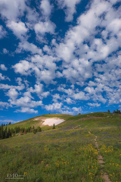 A Stroll Up Lookout. Photo by Dave Bell.