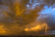 Brilliant Rainbow. Photo by Dave Bell.