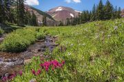 Straight Creek Basin Paintbrush and Wyoming Peak. Photo by Dave Bell.