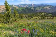 Across To Hoback Peak. Photo by Dave Bell.