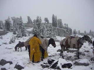 Packing In The Snow, Photo By Donner Bell. Photo by Dave Bell.