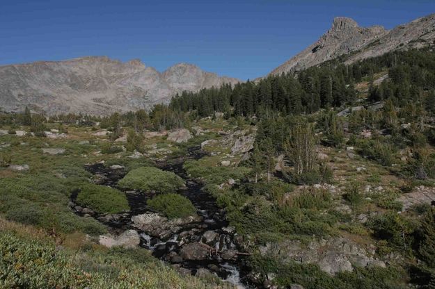 Middle Fork Boulder Creek. Photo by Dave Bell.