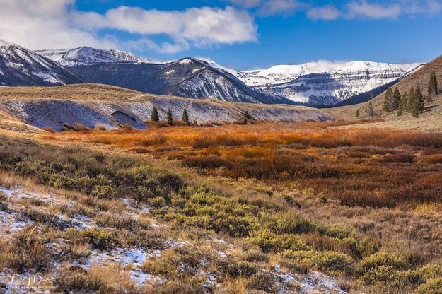 Orange Willow Valley. Photo by Dave Bell.