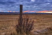 Intense Color Begins. Photo by Dave Bell.