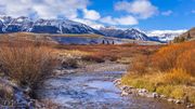 South Cottonwood. Photo by Dave Bell.