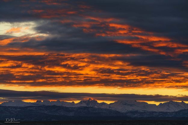 Bonneville Light. Photo by Dave Bell.