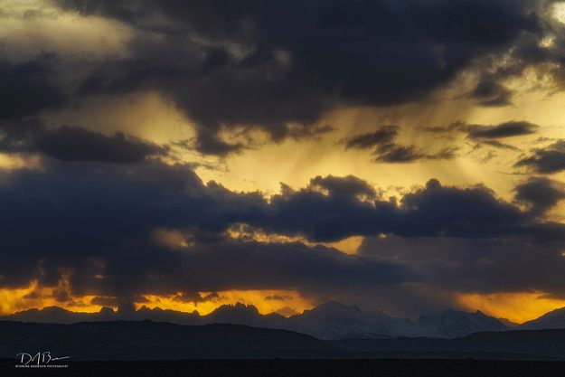 Stormy. Photo by Dave Bell.