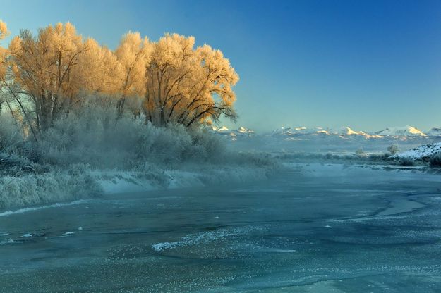 Frozen First Light. Photo by Dave Bell.