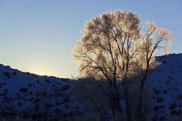 Morning Arrives. Photo by Dave Bell.