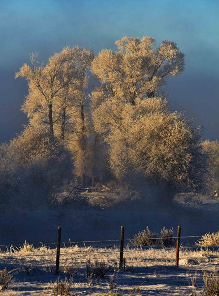 Emerging From The Fog. Photo by Dave Bell.