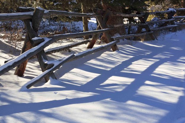 Shadows. Photo by Dave Bell.