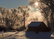 Steamy East Fork. Photo by Dave Bell.