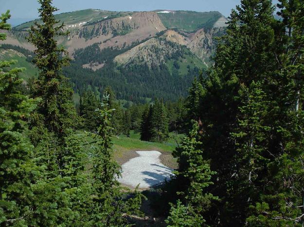 Late Summer Snowfield on Shoulder of Lookout Peak. Photo by Dave Bell.